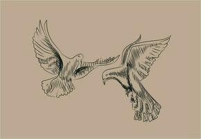 sketch of two flying doves vector