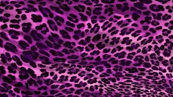 abstrato leopardo textura background filme,animal pele fundo animação video