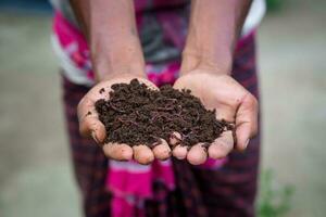 Hand holding compost with redworms. A farmer showing the worms in his hands at Chuadanga, Bangladesh. photo