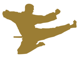 silhouette di marziale artista calcio, taekwondo, karatè, pencak sila, kungfu, per logo o grafico design elemento. formato png