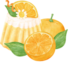 Watercolour orange fruit dessert sweet pudding hand painted illustration png