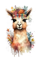 Cute watercolor lama. Illustration png