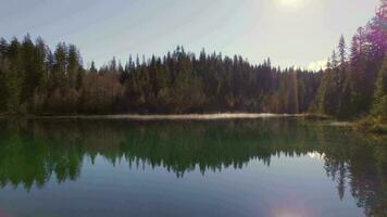 Crestasee Lake in Switzerland Reflecting the Forest in the Emerald Waters video