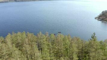 canoisti in arrivo su riva con un' di spessore foresta video