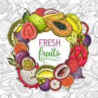 Tropical fruits banner, exotic fruits sketch vector