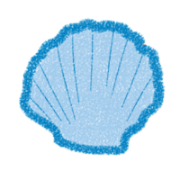 shell pearl decoration png