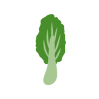 kinds of vegetables png