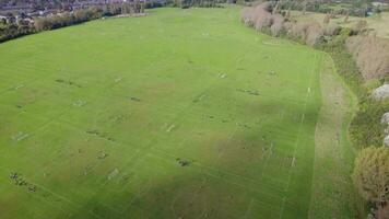 domingo liga futebol fósforos levando Lugar, colocar às hackney pântanos dentro Londres video