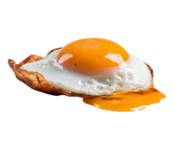 Fry with egg in png