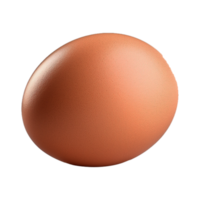 Brown egg in png