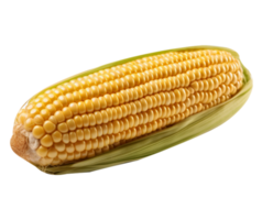 Corn in png