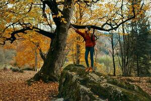 happy traveler climbed a tall stone near a tree and gestures with her hands fun emotions park photo