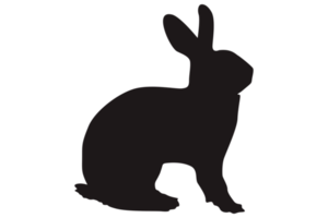 konijn silhouet met transparant achtergrond png