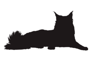 Cat Silhouette On Transparent Background png