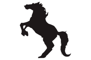 zwart paard silhouet met transparant achtergrond png