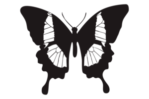 schwarz Schmetterling auf transparent Hintergrund png