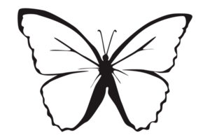 Black Butterfly On Transparent Background png