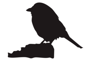 Perched Bird Silhouette On Transparent Background png