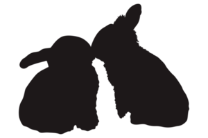 Couple Rabbit Silhouette With Transparent Background png
