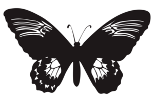 negro mariposa en transparente antecedentes png