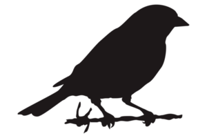 Perched Bird Silhouette On Transparent Background png