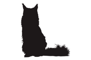 chat silhouette sur transparent Contexte png