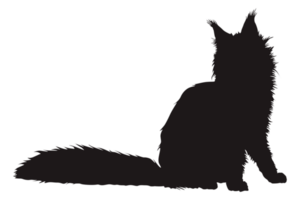 Cat Silhouette Design With Transparent Background png