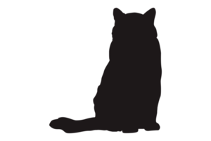 gato silhueta em transparente fundo png