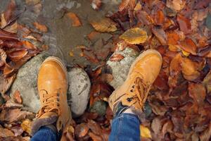 female feet on stones fallen autumn leaves top view photo