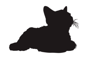 gato silueta en transparente antecedentes png