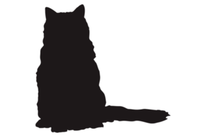 gato silueta en transparente antecedentes png