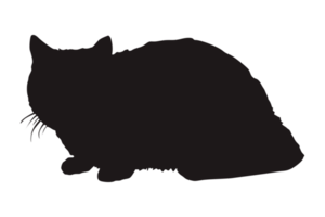 gato silhueta em transparente fundo png