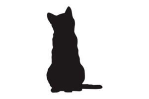 gato silueta en transparente antecedentes png