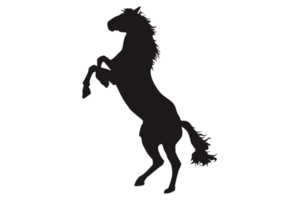 schwarz Pferd Silhouette mit transparent Hintergrund png