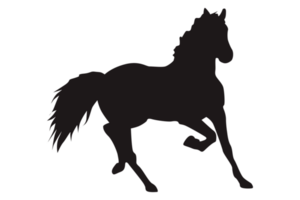 nero in esecuzione cavallo silhouette con trasparente sfondo png