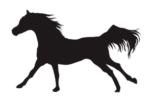zwart rennen paard silhouet met transparant achtergrond png