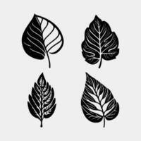 set of leaves isolated on white vector