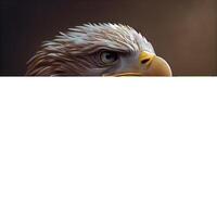 eagle with blank white paper isolated on brown background with copy space, Image photo
