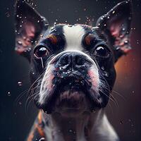 retrato de un bostón terrier perro con agua gotas en su rostro, ai generativo imagen foto