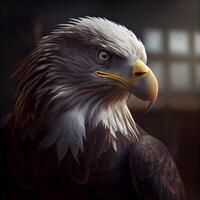Portrait of an american bald eagle haliaeetus leucocephalus, Ai Generative Image photo