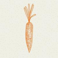 vegetable food a carrot vector