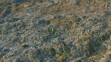 aereo panoramico Visualizza di enorme abbandonato spazzatura scarico. discarica disposizione luogo. rifiuti di vita e produzione. ambientale inquinamento. video