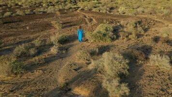Top view of woman in a beautiful blue dress walking throuht the nature reserve. Sparse vegetation, rocky soil, arid climate. Tenerife, Canary Islands, Spain video