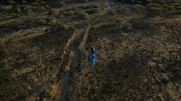 Top view of woman in a beautiful blue dress walking throuht the nature reserve. Sparse vegetation, rocky soil, arid climate. Tenerife, Canary Islands, Spain video