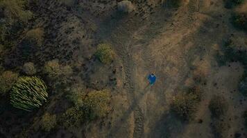 Top view of woman in a beautiful blue dress walking throuht the nature reserve. Sparse vegetation, rocky soil, arid climate. Tenerife, Canary Islands, Spain video