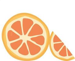 sliced orange citrus fruit vector