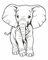 elephant coloring page vector