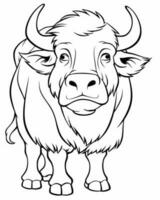 buffalo coloring page vector