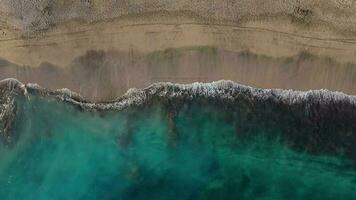 parte superior ver de el Desierto negro playa en el atlántico océano. costa de el isla de tenerife aéreo zumbido imágenes de mar olas alcanzando apuntalar video