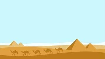 landscape illustration of egypt desert with walking camels and pyramids vector